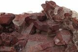 Natural, Red Quartz Crystal Cluster - Morocco #232862-2